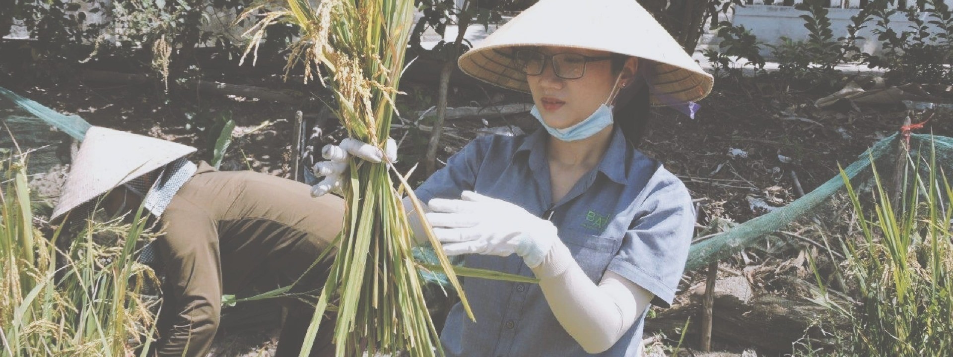 農畜産業経営強化支援事業