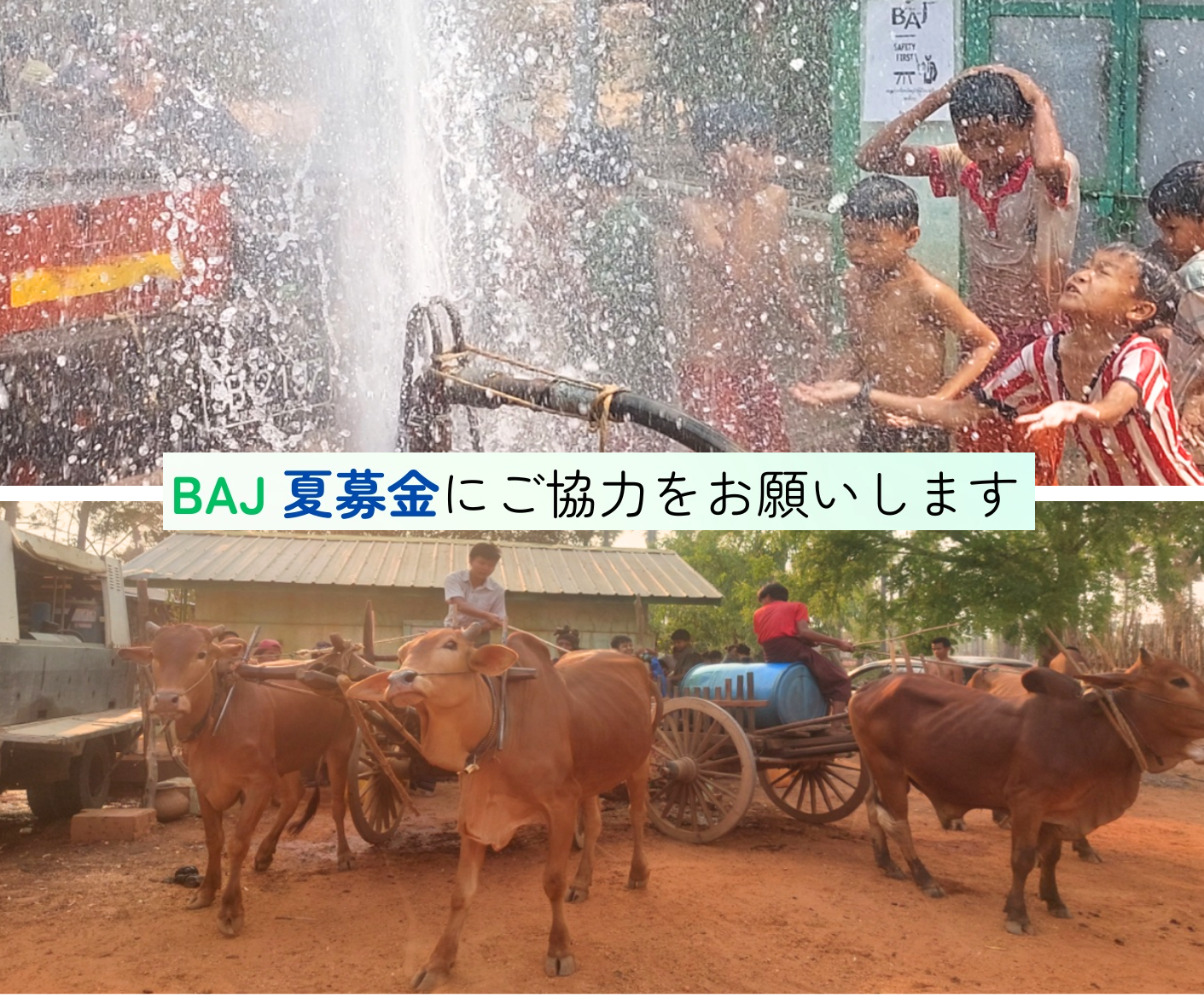 夏募金ご協力のお願い