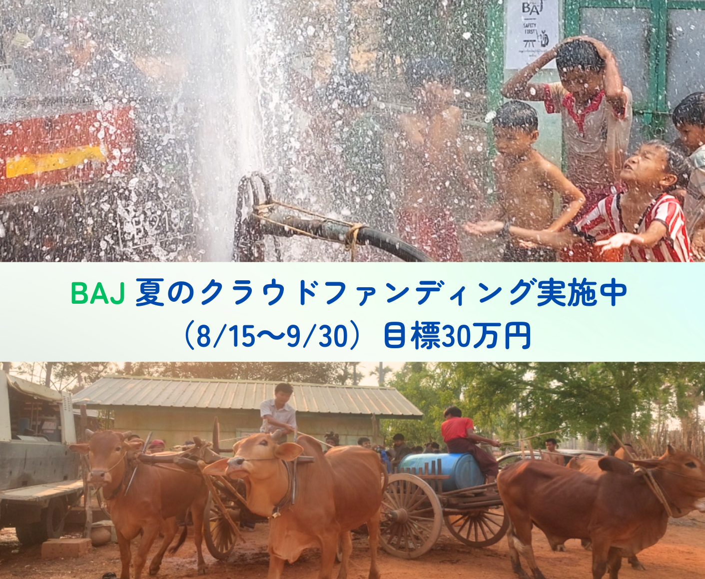 夏のクラウドファンディング実施中！（目標30万円）9月30日まで