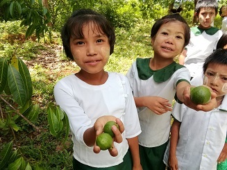 ラカイン州南部　子どもたちとの村歩き：ミャンマー