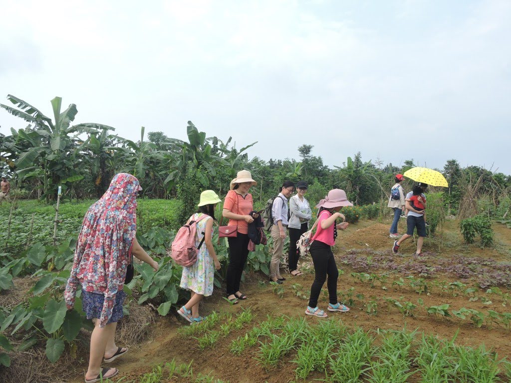 直売所『フエ農家の店』生産者訪問イベント開催報告：ベトナム