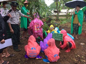 防災訓練ワークショップと教材林／環境教育活動について：ミャンマー